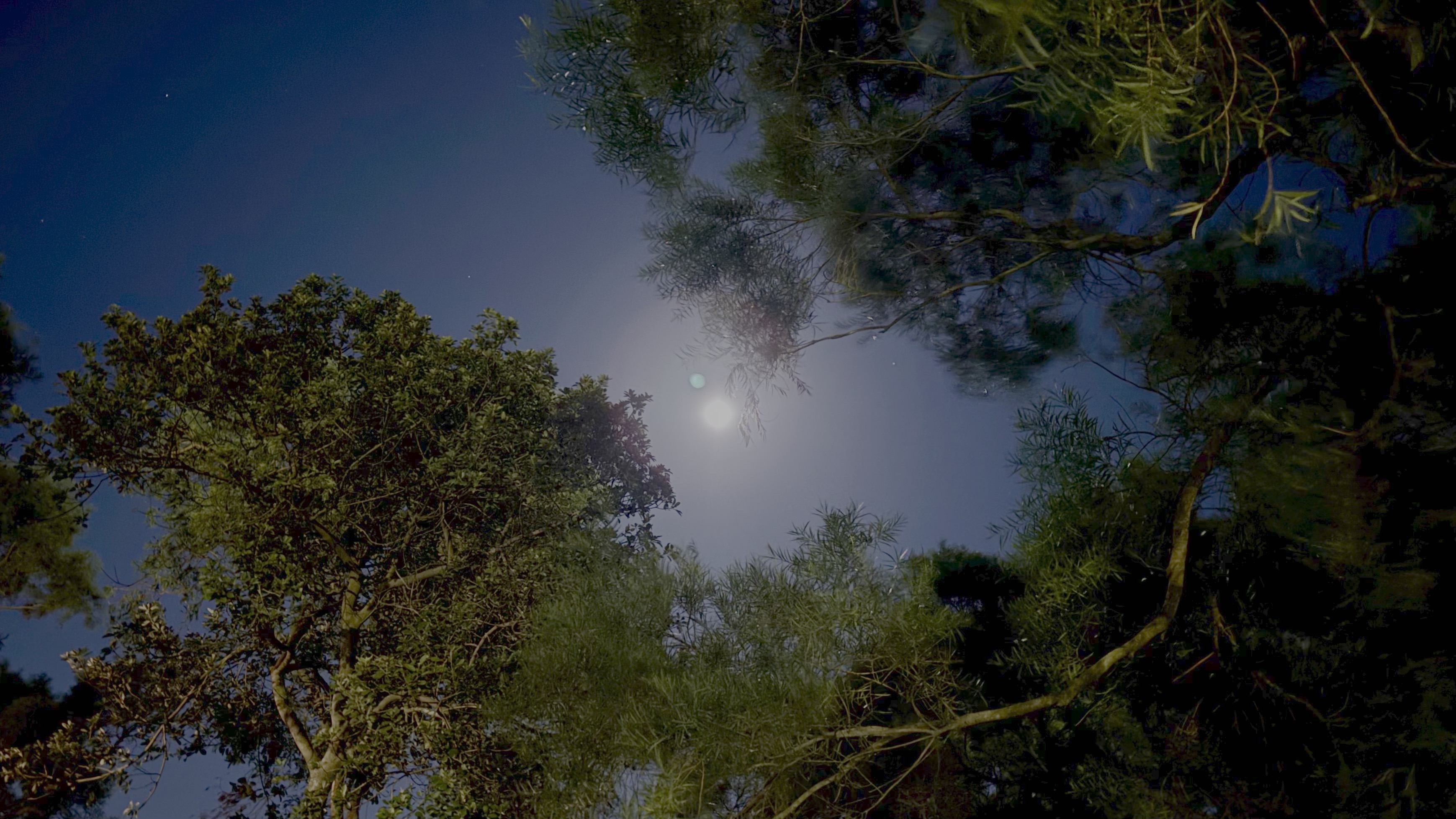 59D9BE5A-281A-4AA1-AF0B-E05451AC61B0